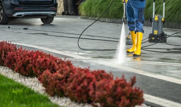 Best Residential Pressure Washing Services  in Rutherford, PA